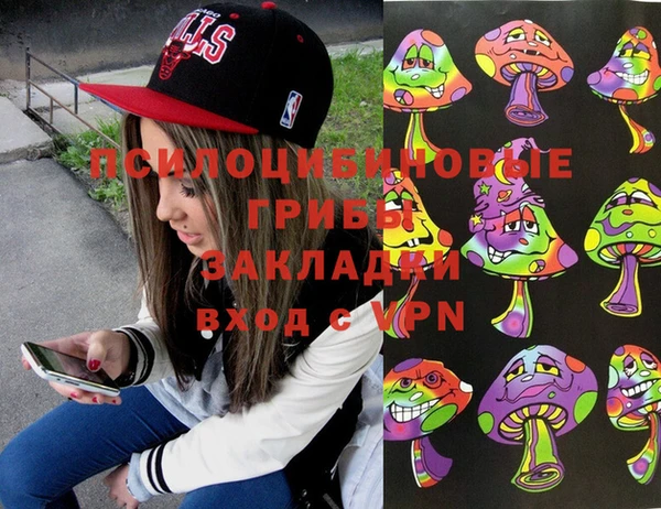 тгк Кукмор