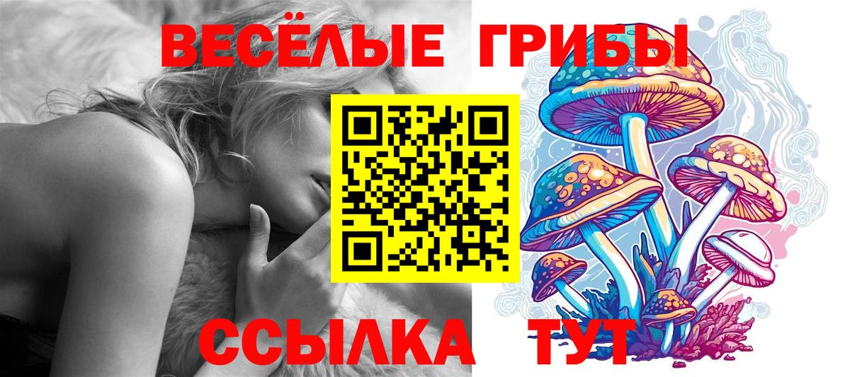 Галлюциногенные грибы Magic Shrooms Касимов