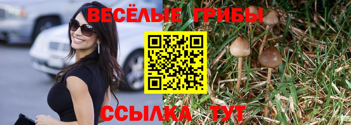 Псилоцибиновые грибы мухоморы  Псилоцибиновые грибы мухоморы  Касимов  Вход с VPN 